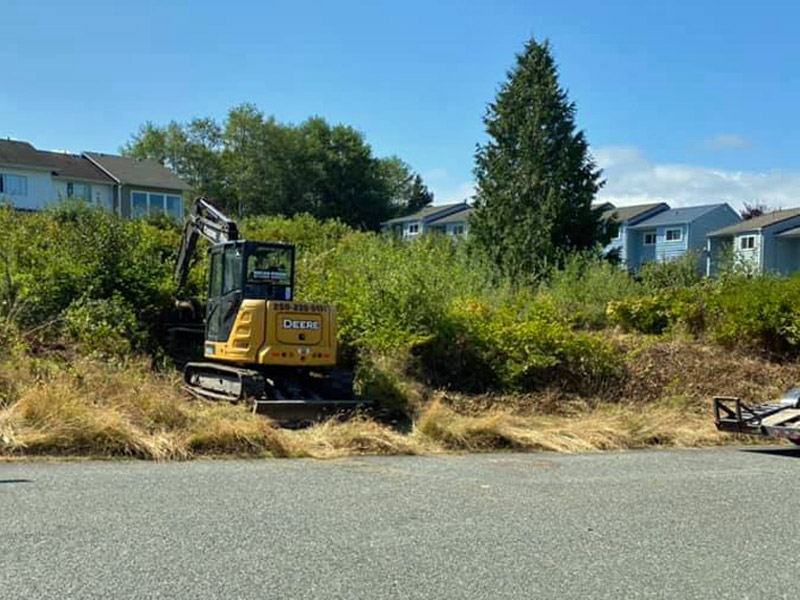Dylan Shaw Excavating removing brush and clearing land in Port Hardy